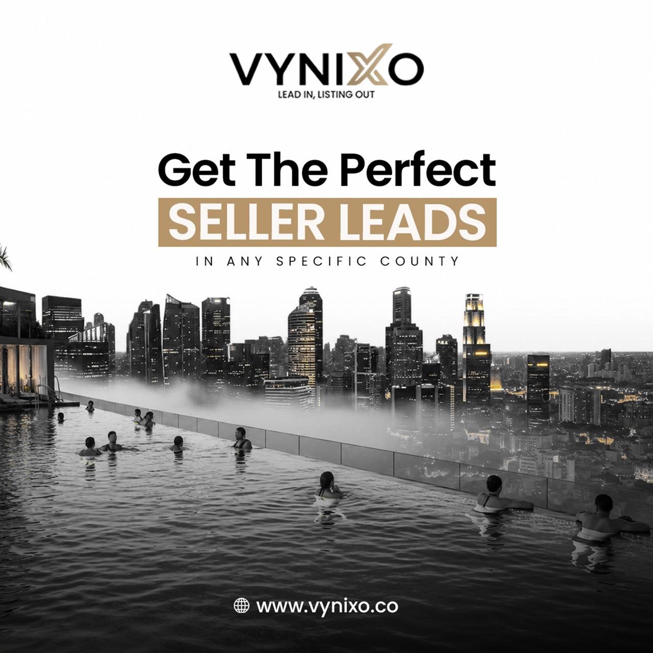 Perfect Seller Leads — Vynixo